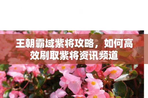 如何高效刷取紫将资讯频道图片