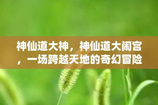 神仙道大神，神仙道大闹宫，一场跨越天地的奇幻冒险