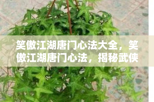 笑傲江湖唐门心法大全,笑傲江湖唐门心法,揭秘武侠世界的独特心法 笑傲江湖唐门心法大全,笑傲江湖唐门心法,揭秘武侠世界的独特心法