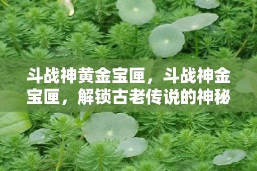 斗战神黄金宝匣，斗战神金宝匣，解锁古老传说的神秘宝藏