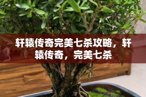 轩辕传奇完美七杀攻略,轩辕传奇,完美七杀 轩辕传奇完美七杀攻略,轩辕传奇,完美七杀