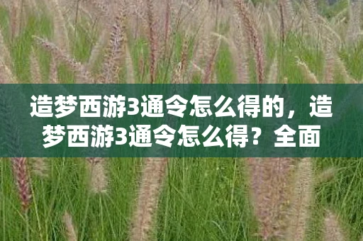 造梦西游3通令怎么得的，造梦西游3通令怎么得？全面解析与攻略