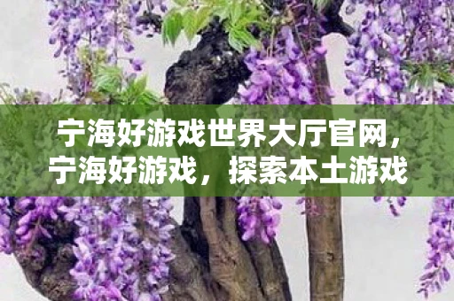 宁海好游戏世界大厅官网，宁海好游戏，探索本土游戏文化的魅力
