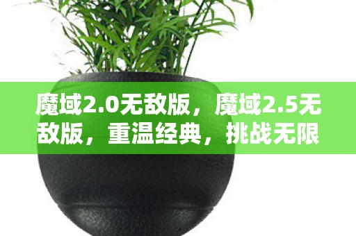 魔域2.0无敌版，魔域2.5无敌版，重温经典，挑战无限