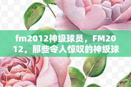 fm2012神级球员，FM2012，那些令人惊叹的神级球员
