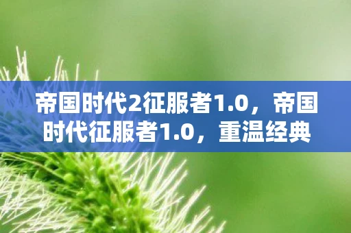 帝国时代2征服者1.0，帝国时代征服者1.0，重温经典，探索策略游戏的无限可能