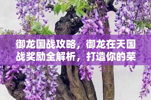 御龙国战攻略，御龙在天国战奖励全解析，打造你的荣耀之路