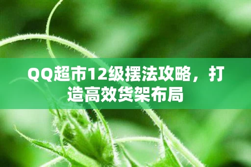 QQ超市12级摆法攻略图片