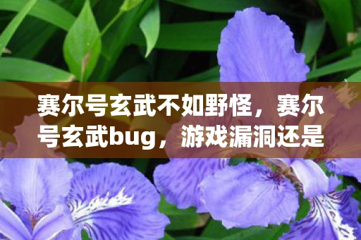 赛尔号玄武不如野怪，赛尔号玄武bug，游戏漏洞还是玩家智慧？