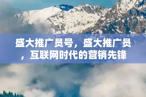 盛大推广员号，盛大推广员，互联网时代的营销先锋