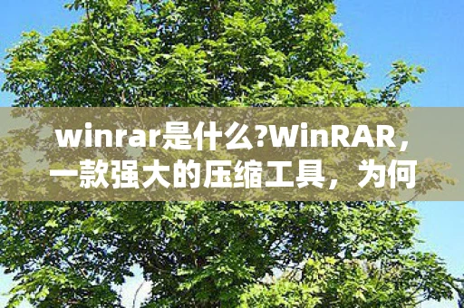 winrar是什么?WinRAR,一款强大的压缩工具,为何它如此重要? winrar是什么?WinRAR,一款强大的压缩工具,为何它如此重要?