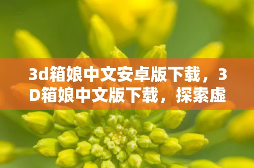 3d箱娘中文安卓版下载,3D箱娘中文版下载,探索虚拟世界的奇妙之旅 3d箱娘中文安卓版下载,3D箱娘中文版下载,探索虚拟世界的奇妙之旅