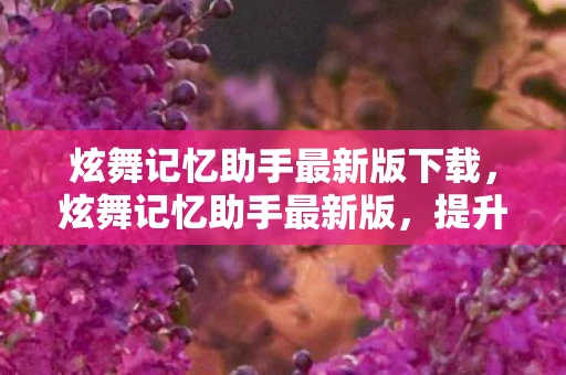 炫舞记忆助手最新版下载，炫舞记忆助手最新版，提升游戏体验，助你成为舞蹈大师