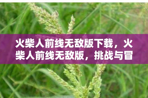 火柴人前线无敌版下载,火柴人前线无敌版,挑战与冒险的极致体验 火柴人前线无敌版下载,火柴人前线无敌版,挑战与冒险的极致体验