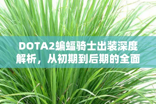 DOTA2蝙蝠骑士出装深度解析图片