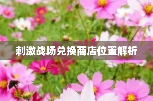 刺激战场兑换商店位置解析图片
