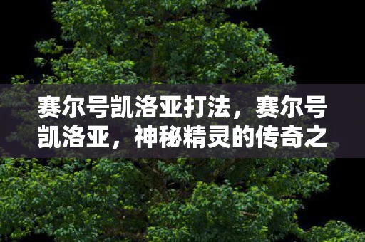 赛尔号凯洛亚打法，赛尔号凯洛亚，神秘精灵的传奇之旅