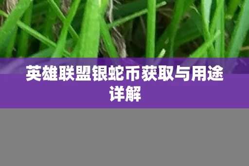 英雄联盟银蛇币获取与用途详解图片