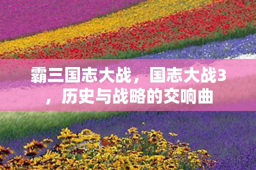 霸三国志大战,国志大战3,历史与战略的交响曲 霸三国志大战,国志大战3,历史与战略的交响曲