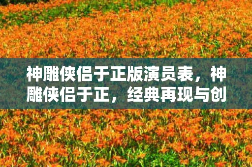神雕侠侣于正版演员表，神雕侠侣于正，经典再现与创意改编的碰撞