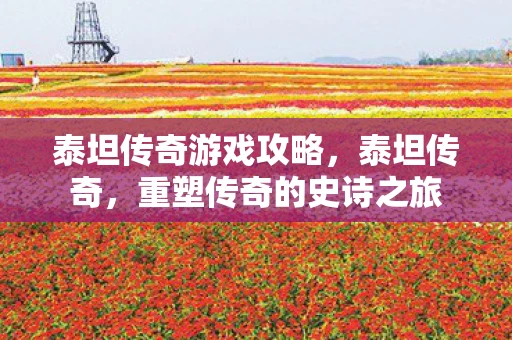 泰坦传奇游戏攻略，泰坦传奇，重塑传奇的史诗之旅