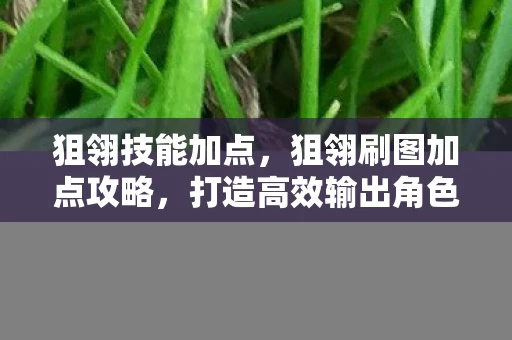 狙翎技能加点，狙翎刷图加点攻略，打造高效输出角色