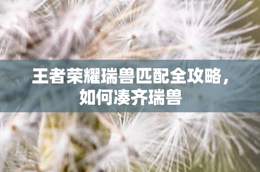 王者荣耀瑞兽匹配全攻略图片