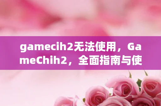 gamecih2无法使用，GameChih2，全面指南与使用方法