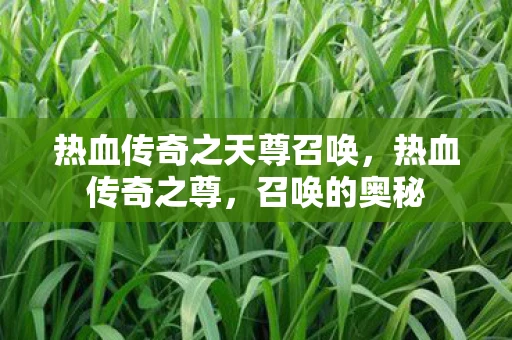 热血传奇之天尊召唤，热血传奇之尊，召唤的奥秘