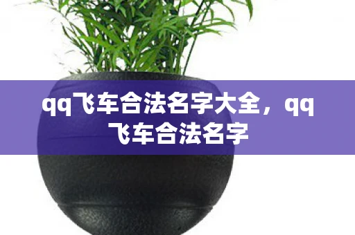 qq飞车合法名字大全，qq飞车合法名字