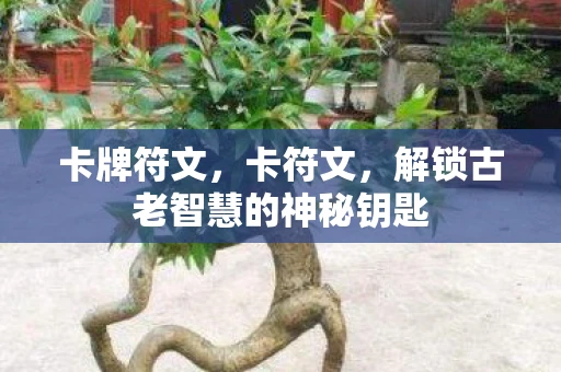 卡牌符文,卡符文,解锁古老智慧的神秘钥匙 卡牌符文,卡符文,解锁古老智慧的神秘钥匙