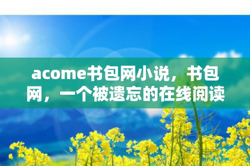 acome书包网小说,书包网,一个被遗忘的在线阅读平台 acome书包网小说,书包网,一个被遗忘的在线阅读平台