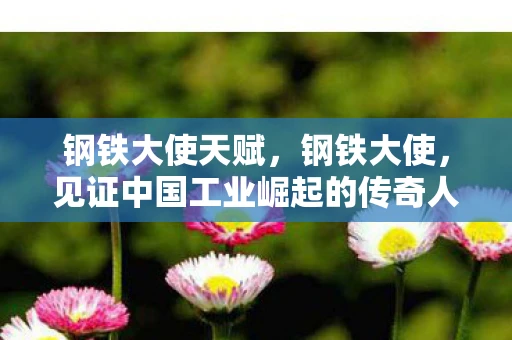 钢铁大使天赋,钢铁大使,见证中国工业崛起的传奇人物 钢铁大使天赋,钢铁大使,见证中国工业崛起的传奇人物