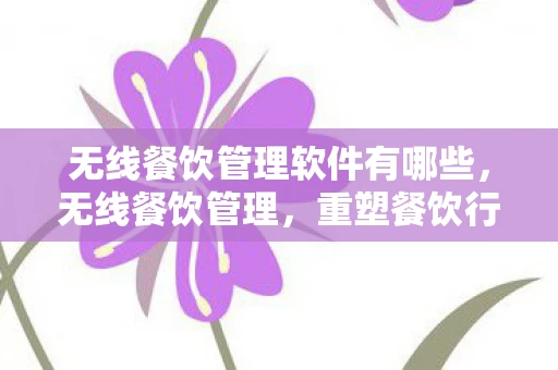 无线餐饮管理软件有哪些，无线餐饮管理，重塑餐饮行业的未来