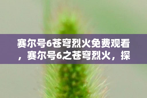 赛尔号6苍穹烈火免费观看，赛尔号6之苍穹烈火，探索未知，挑战极限