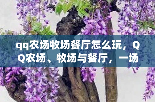 qq农场牧场餐厅怎么玩，QQ农场、牧场与餐厅，一场虚拟世界的匪梦