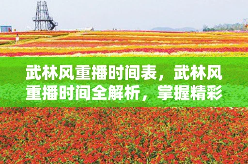 武林风重播时间表，武林风重播时间全解析，掌握精彩瞬间，不错过任何一场对决！