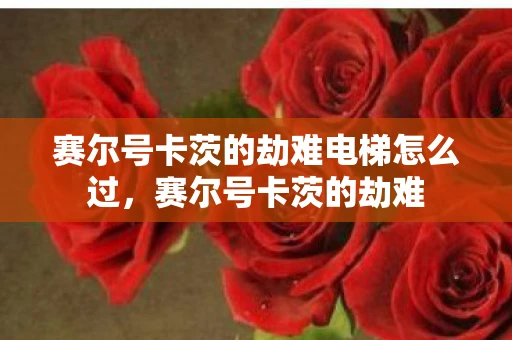 赛尔号卡茨的劫难电梯怎么过,赛尔号卡茨的劫难 赛尔号卡茨的劫难电梯怎么过,赛尔号卡茨的劫难