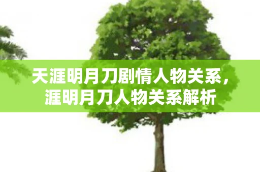 天涯明月刀剧情人物关系，涯明月刀人物关系解析