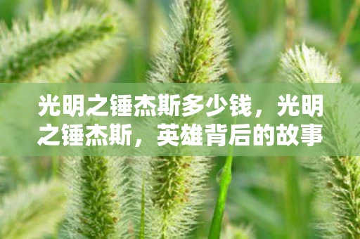 光明之锤杰斯多少钱,光明之锤杰斯,英雄背后的故事与传奇 光明之锤杰斯多少钱,光明之锤杰斯,英雄背后的故事与传奇