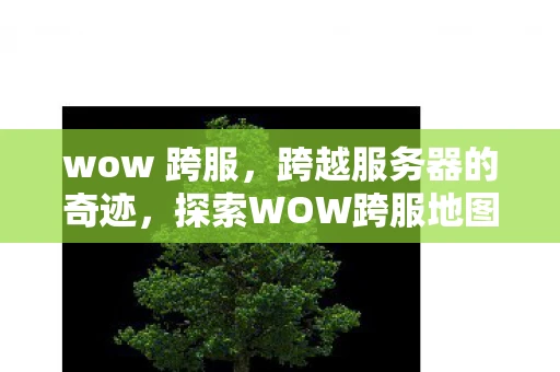 wow 跨服，跨越服务器的奇迹，探索WOW跨服地图