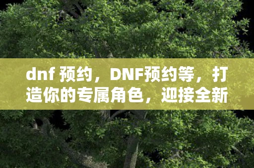 dnf 预约，DNF预约等，打造你的专属角色，迎接全新挑战