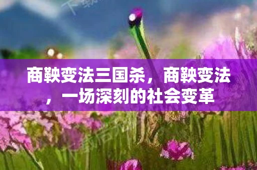 商鞅变法三国杀，商鞅变法，一场深刻的社会变革