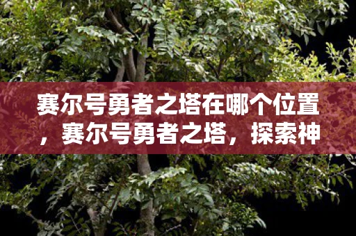赛尔号勇者之塔在哪个位置，赛尔号勇者之塔，探索神秘之塔的冒险之旅