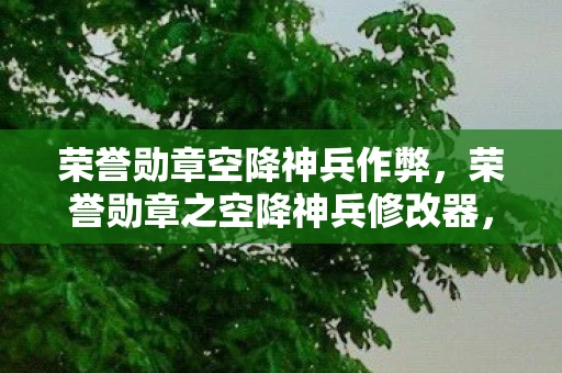 荣誉勋章空降神兵作弊，荣誉勋章之空降神兵修改器，解锁游戏新境界的利器
