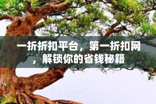 一折折扣平台，第一折扣网，解锁你的省钱秘籍