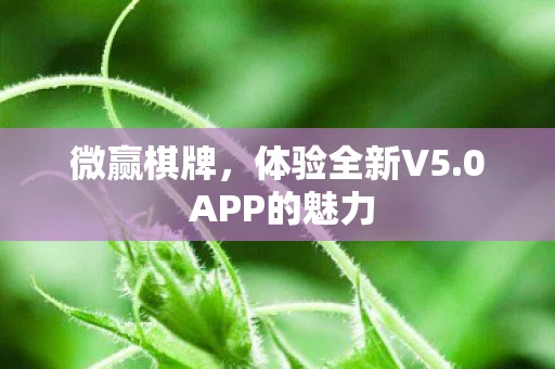 0 APP的魅力图片