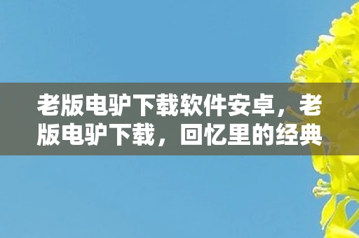 老版电驴下载软件安卓，老版电驴下载，回忆里的经典与传承
