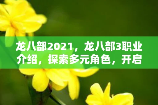 龙八部2021，龙八部3职业介绍，探索多元角色，开启奇幻冒险