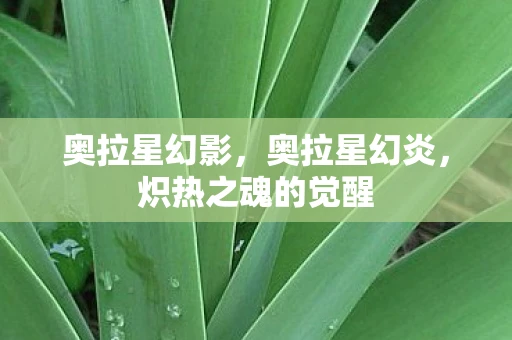 奥拉星幻影，奥拉星幻炎，炽热之魂的觉醒